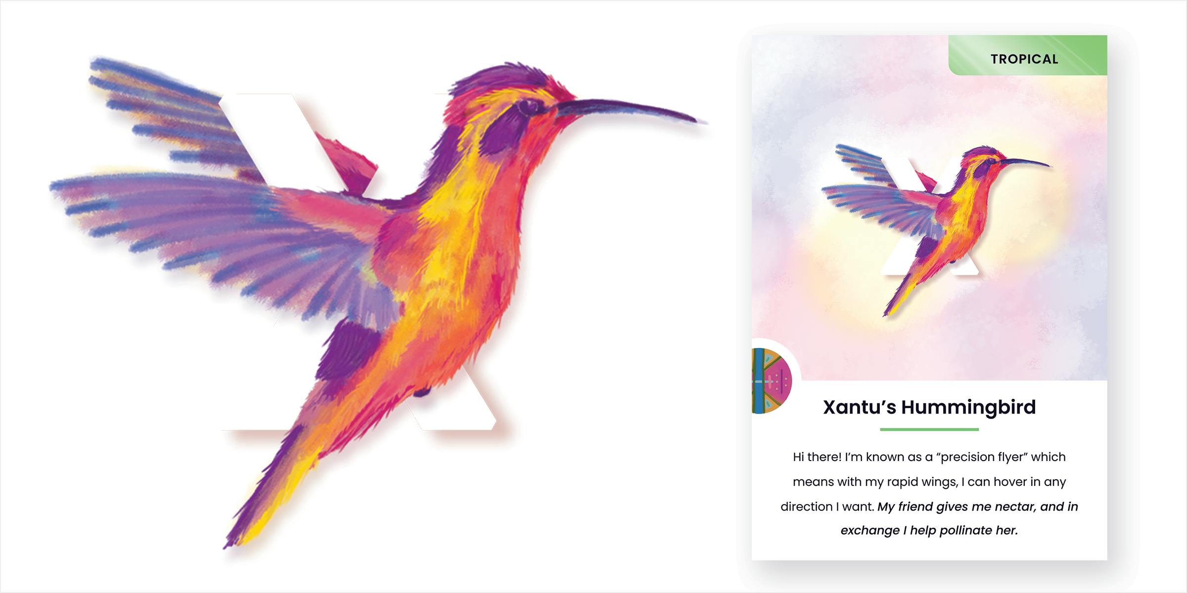 Mockup of letter X Xantu's hummingbird card. A large, pastel-colored bird is in mid-flight with its wings wrapped around the letter X.