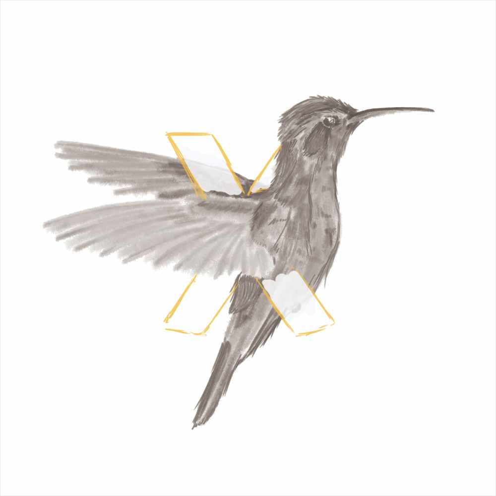 A sketch of a black and white hummingbird with its wings wrapped around the letter 'X'
