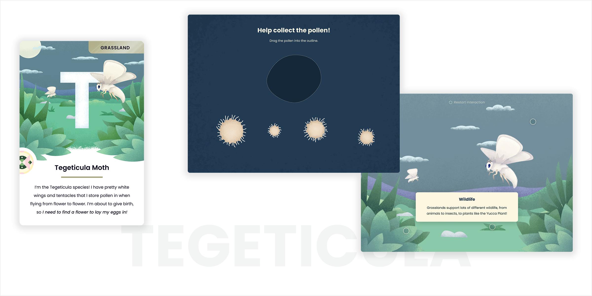 Tegeticula Moth card and interaction screens