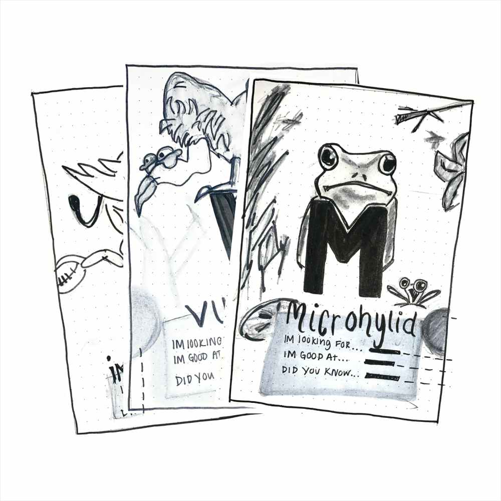 Sketches of cards I, M, V 
