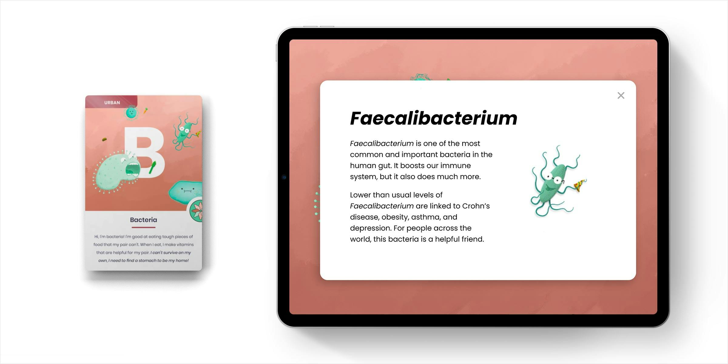 Mockup of the bacteria card and interactive piece side by side.