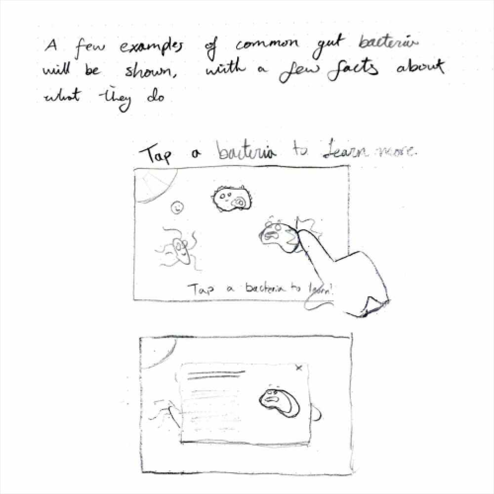 Sketch of bacteria interaction