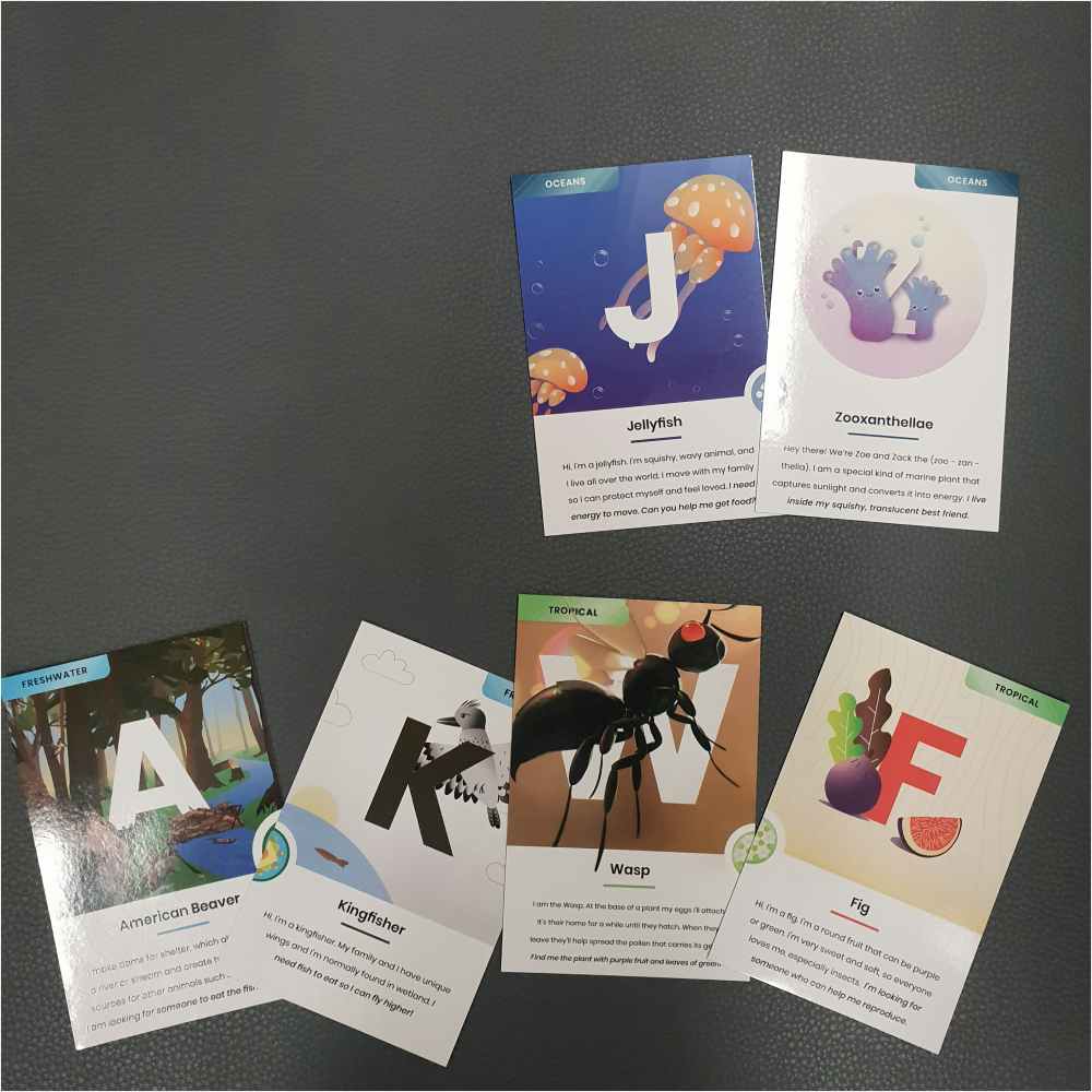 The 3 pairs of cards - A&K, J&Z, and W&F The 3 pairs of cards - A&K, J&Z, and W&F