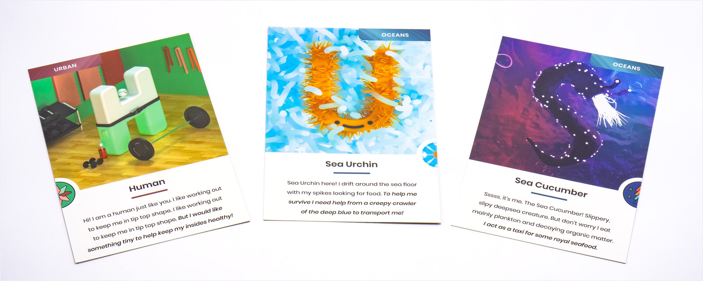 Three Cards fanned out with the letters and digital illustrations of a human, sea urchin and sea cucumber on them. Three Cards fanned out with the letters and digital illustrations of a human, sea urchin and sea cucumber on them.