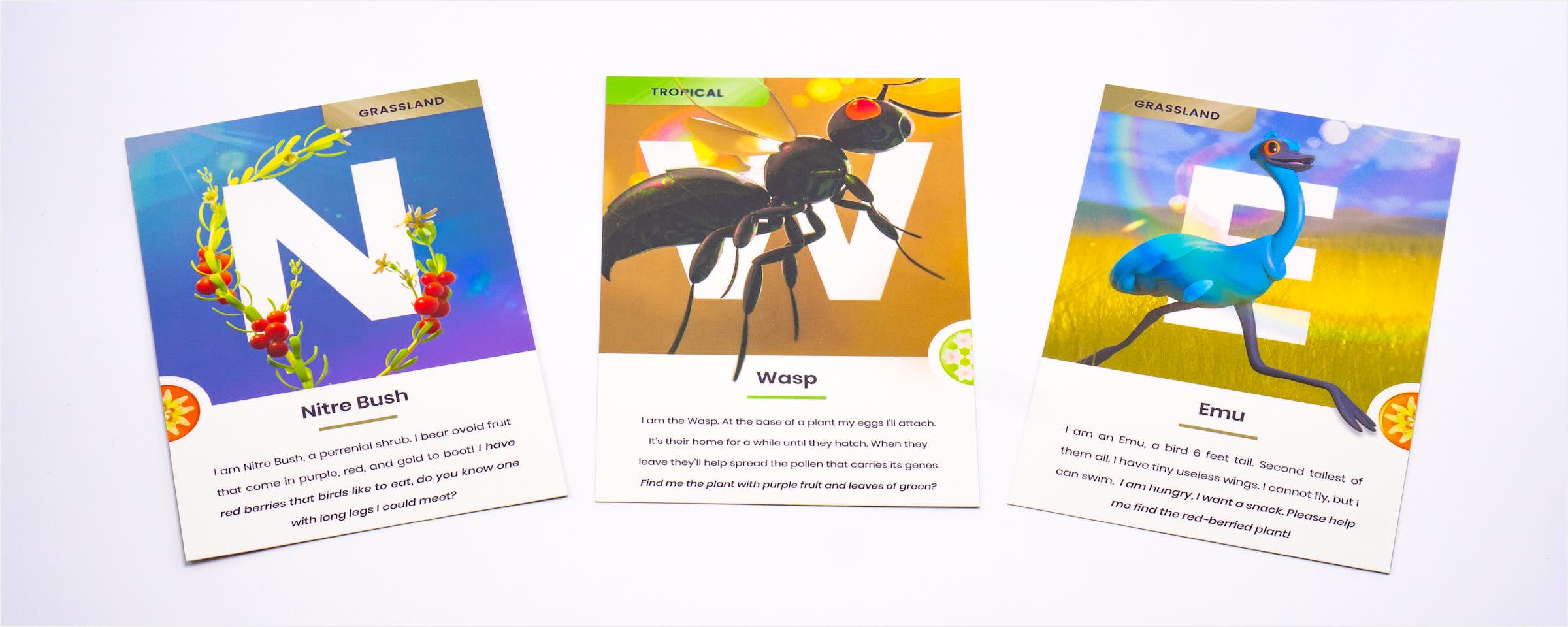Photo of Cards N, W, E Photo of Cards N, W, E