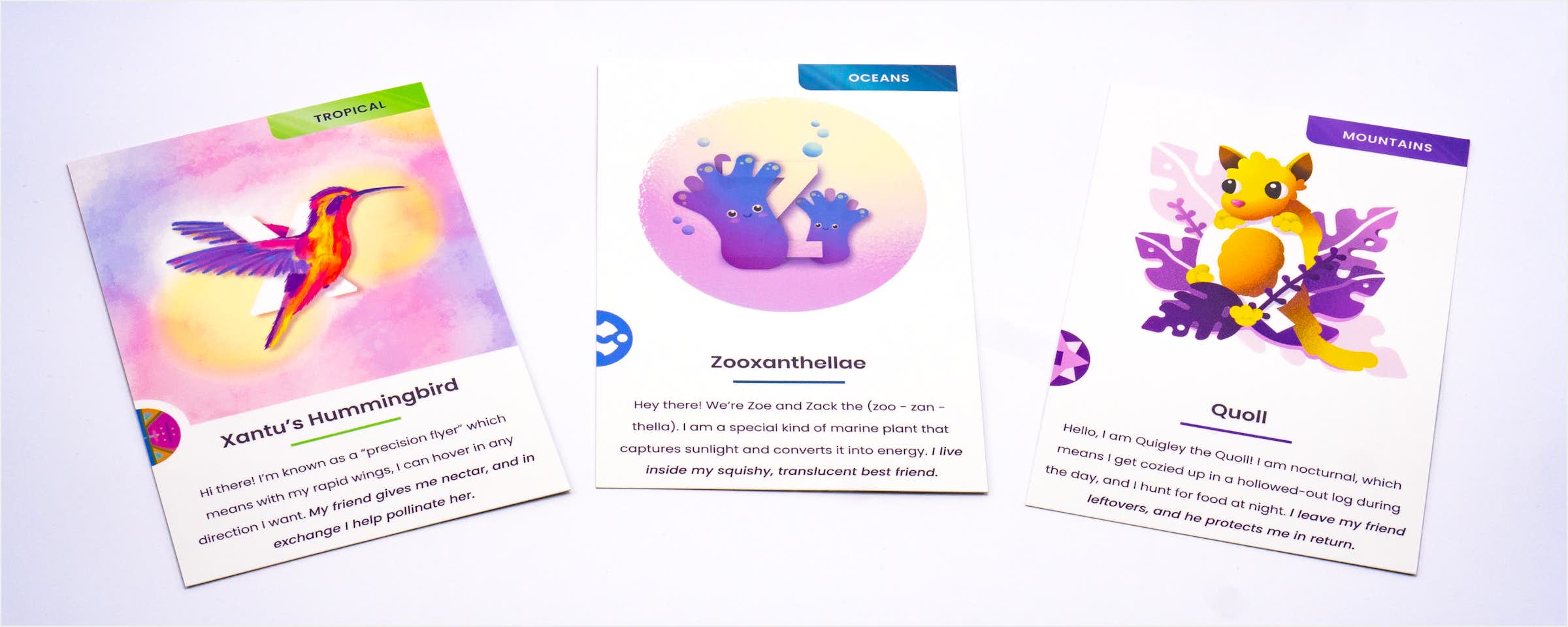 Photo of Cards X, Z, Q Photo of Cards X, Z, Q