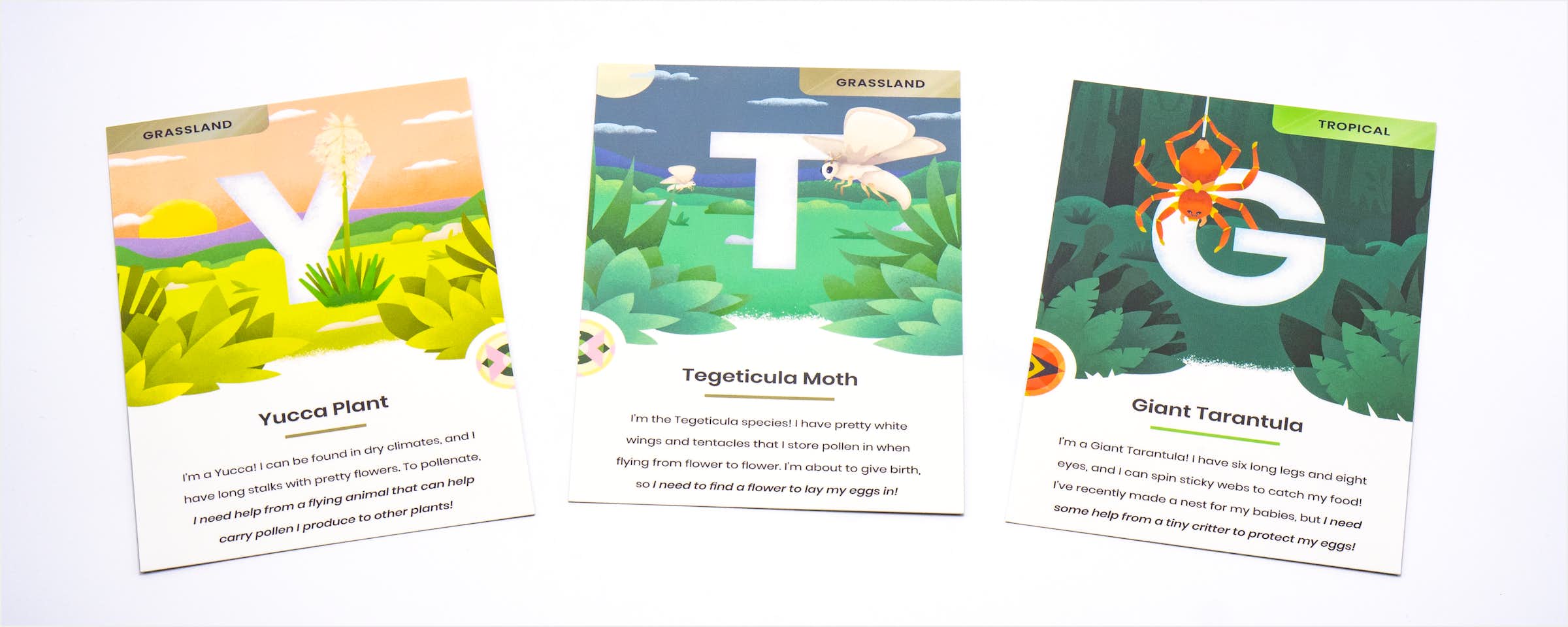 Photo of Cards Y, T, G Photo of Cards Y, T, G