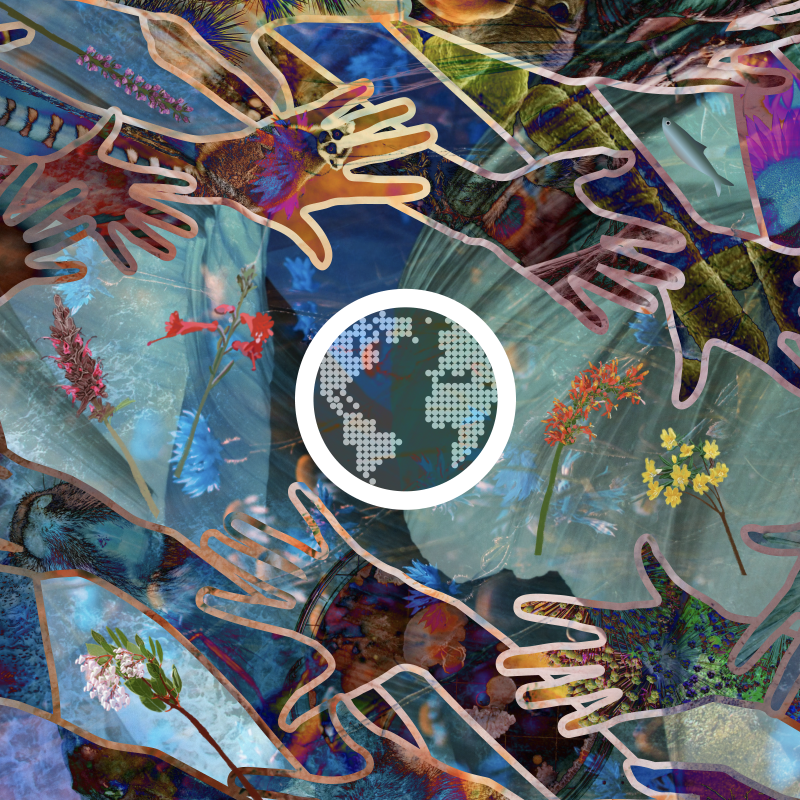 Thumbnail illustration for Elena Berg&lsquo;s project 
