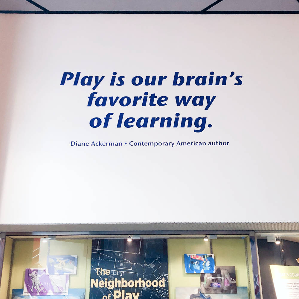 Quote that says PLay is our brains favorite way of learning