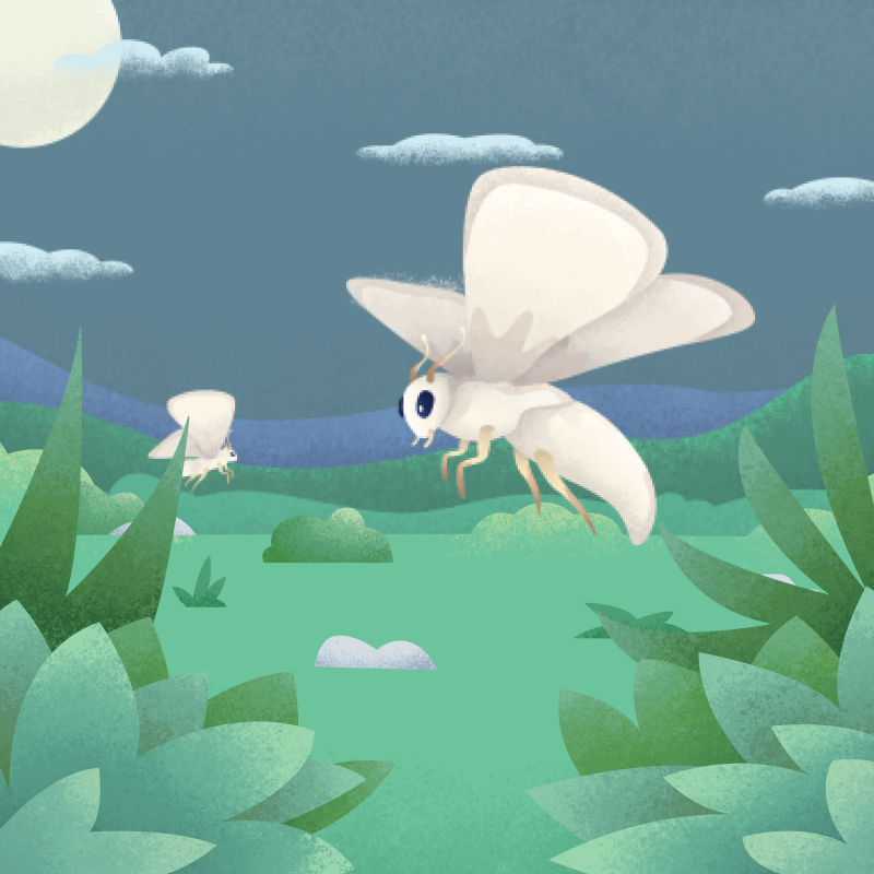 Thumbnail illustration for Liam Madigan&lsquo;s project 