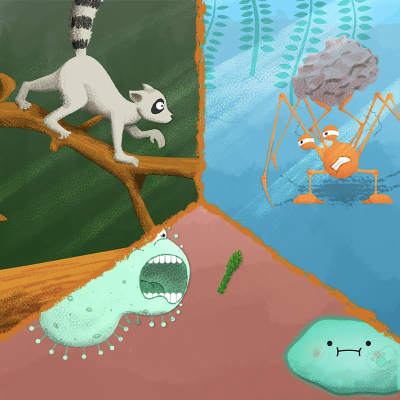 Thumbnail illustration for Rohan Pawar&lsquo;s project 