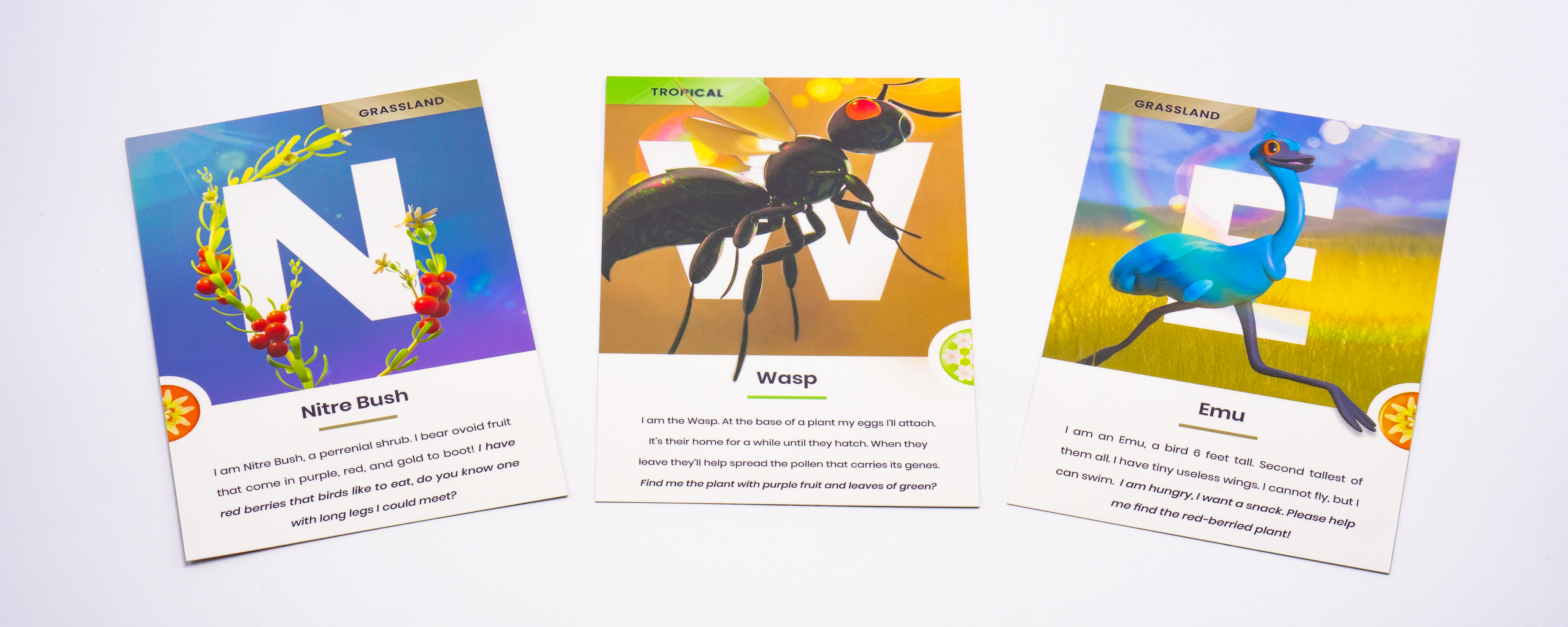 Photo of Cards N, W, E